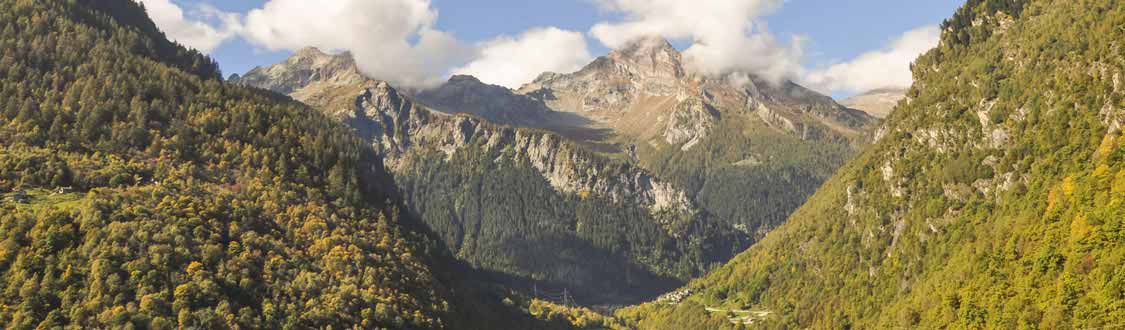 Vallemaggia